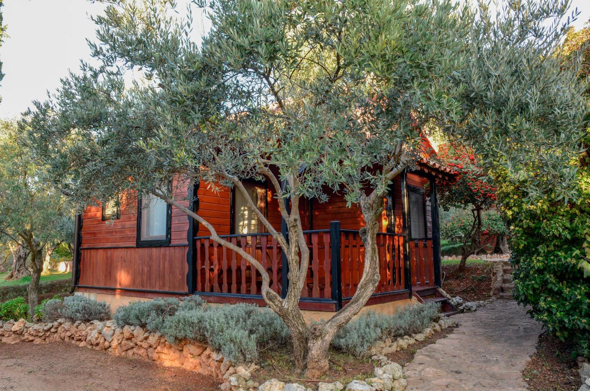 Camping Alquezar Exterior photo